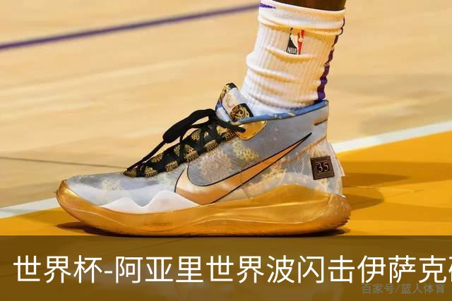 世界杯-阿亚里世界波闪击伊萨克破门 半场瑞典2-1突尼斯
