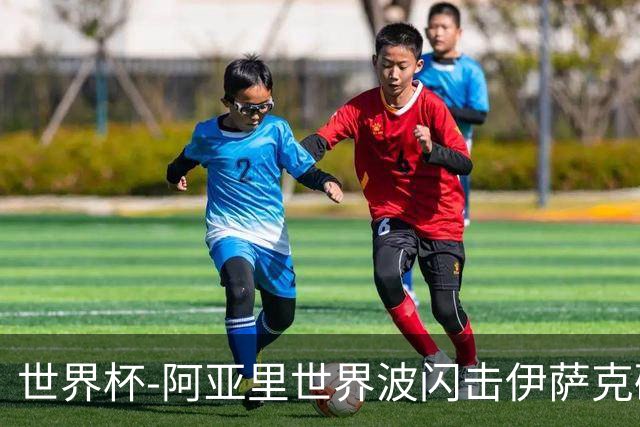 世界杯-阿亚里世界波闪击伊萨克破门 半场瑞典2-1突尼斯